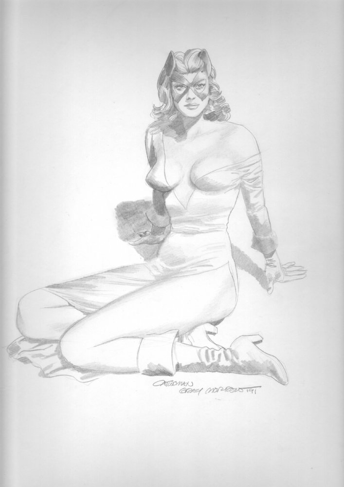 catwoman comic covers. Dealer Comic Art For Sale: